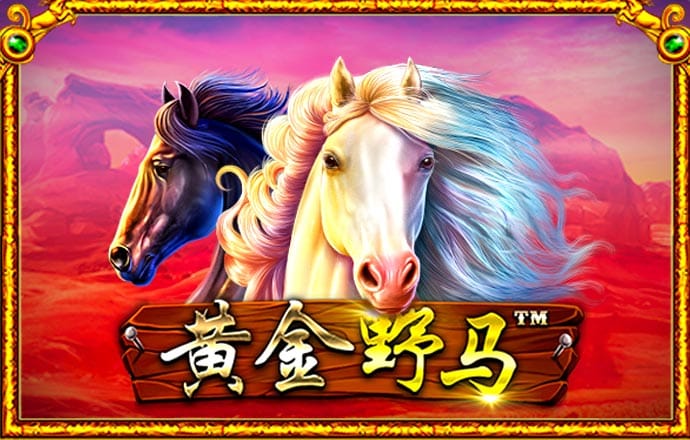 91cg视频截图